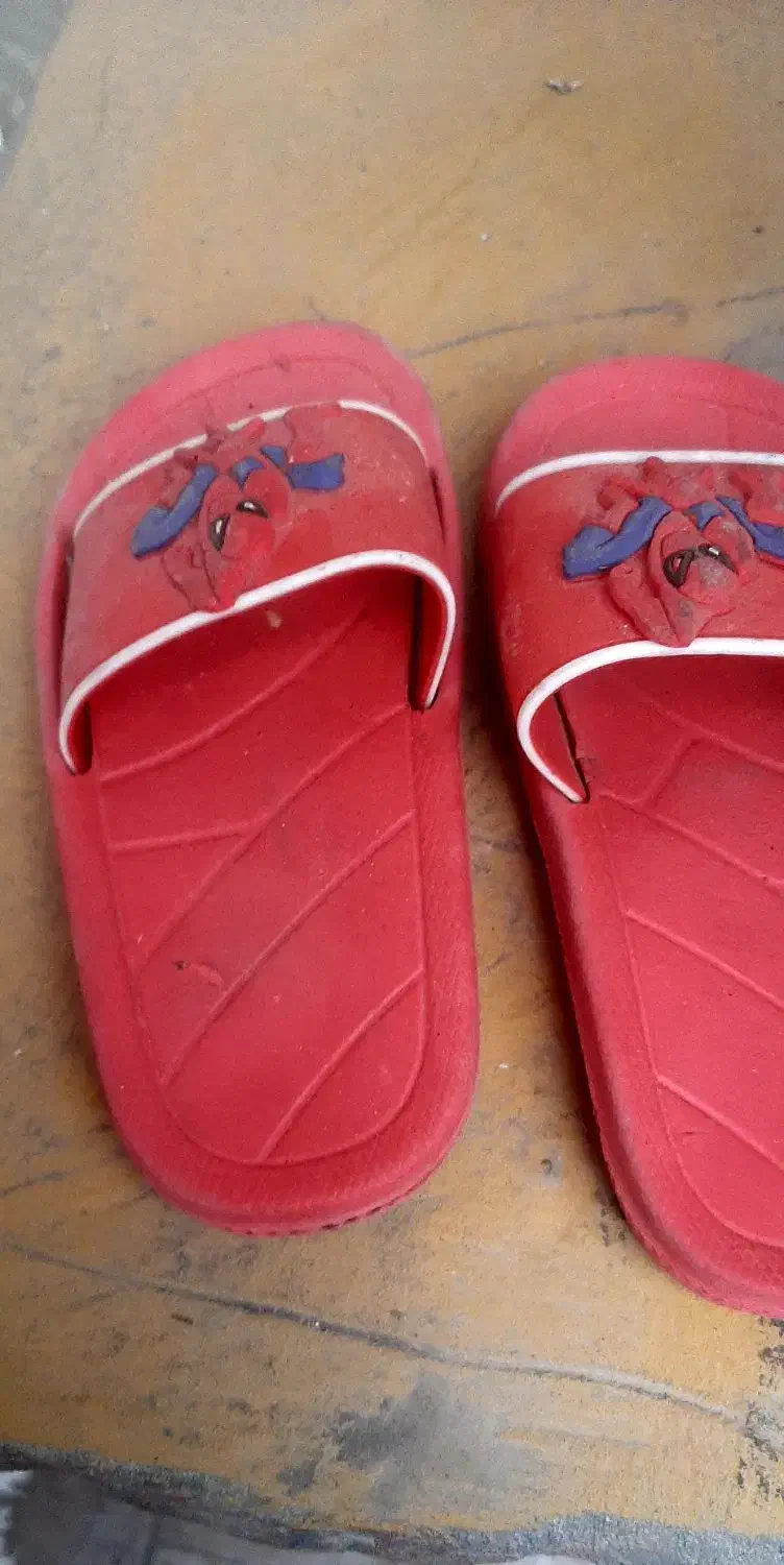 دمپایی صندل|کیف، کفش، کمربند|تهران, تهرانسر شمالی|دیوار