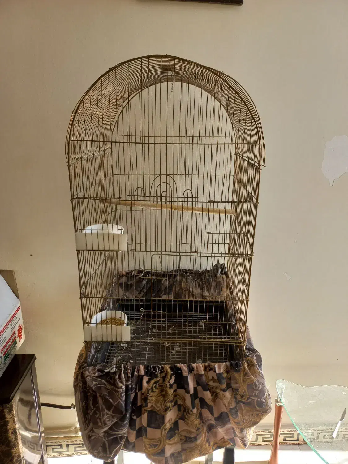 قفس پرنده|لوازم جانبی حیوانات|فردیس, فردیس|دیوار