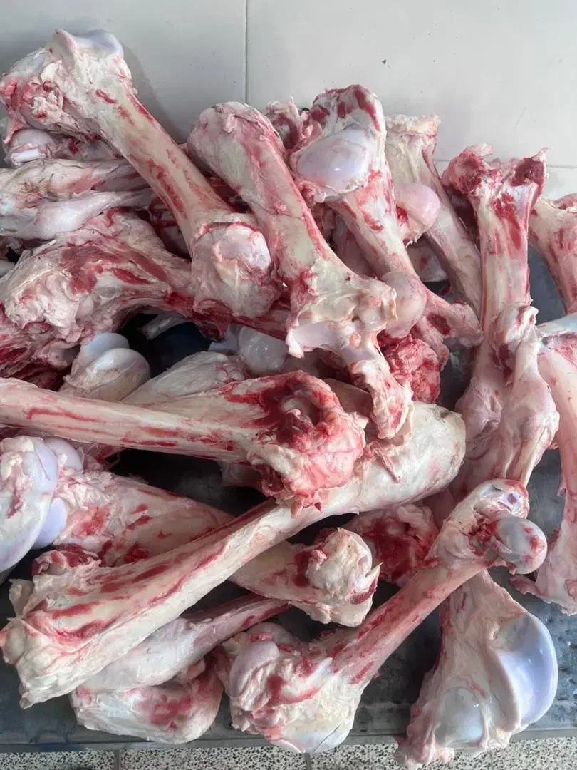 قلم وپاچه گوساله|خوردنی و آشامیدنی|اهواز, فاز ۱ پادادشهر|دیوار