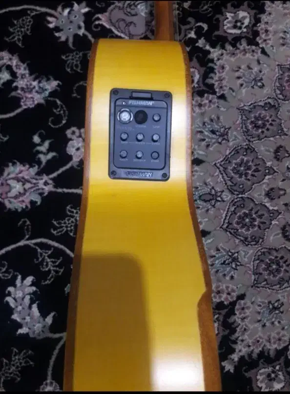 گیتار نوع نوع|گیتار، بیس، امپلیفایر|رشت, اسماعیل آباد|دیوار