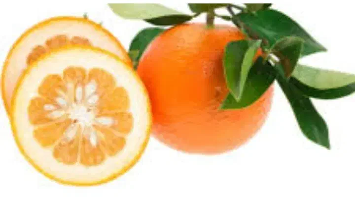 فروش نارنج خرید نارنج|خوردنی و آشامیدنی|شیراز, سیاه سنگ|دیوار