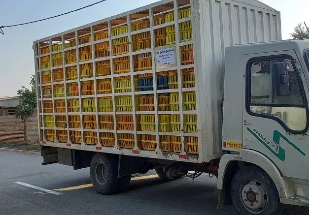 ایویکو مرغی مدل 81|خودرو سنگین|گرگان, |دیوار