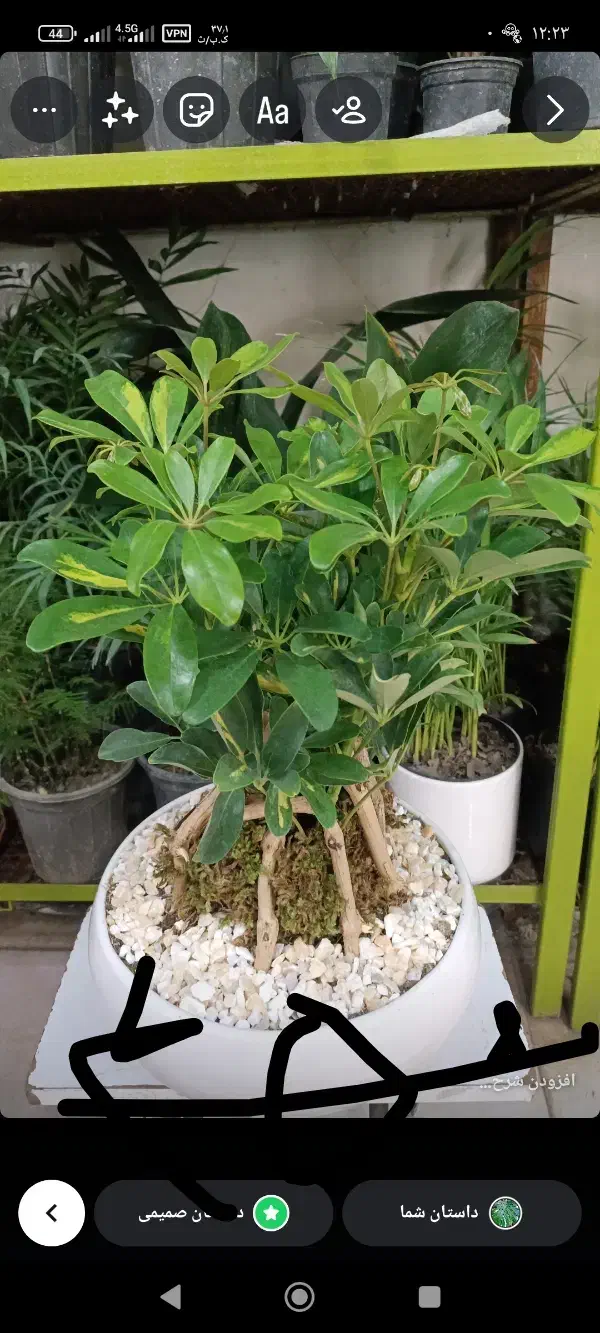 آنلاین|کنسول، بازی ویدئویی و آنلاین|مشهد, حیدرآباد|دیوار