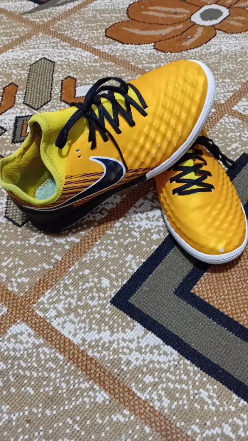 کفش مجستا|کیف، کفش، کمربند|آباده, |دیوار