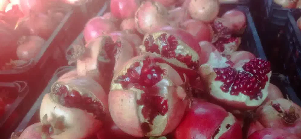 انار خندون|حراج|دهدشت, |دیوار