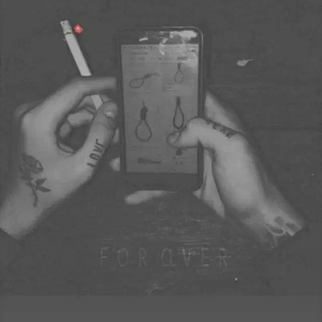 گوشی گمشده|موبایل|اسفراین, |دیوار