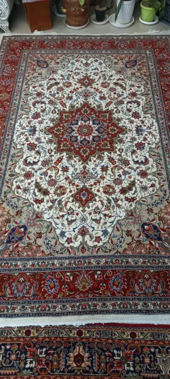 فروش فرش دستباف|فرش|مرند, |دیوار