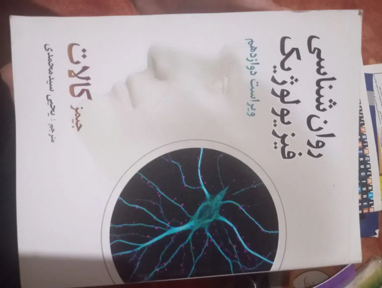 فروش کتابهای کنکور ارشد بالینی|کتاب و مجله آموزشی|شیراز, دشت چنار|دیوار