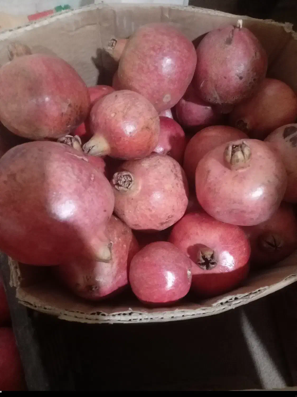 فروش انار|خوردنی و آشامیدنی|شیراز, لاله|دیوار