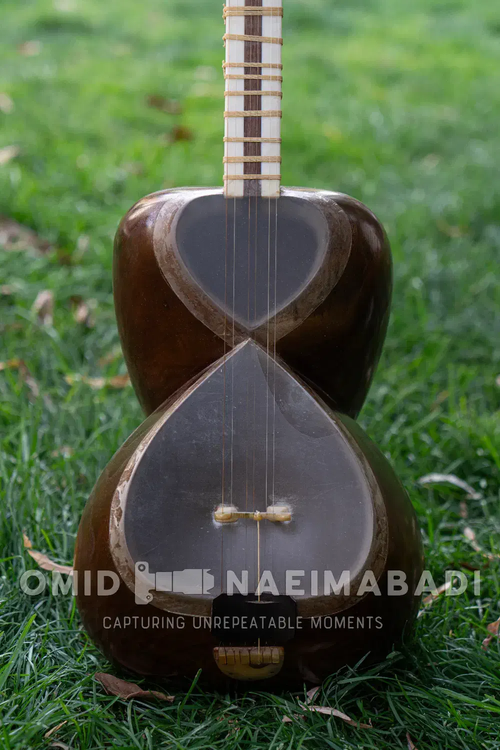 تار قوامی|سازهای سنتی|کرج, مهرویلا جنوبی|دیوار