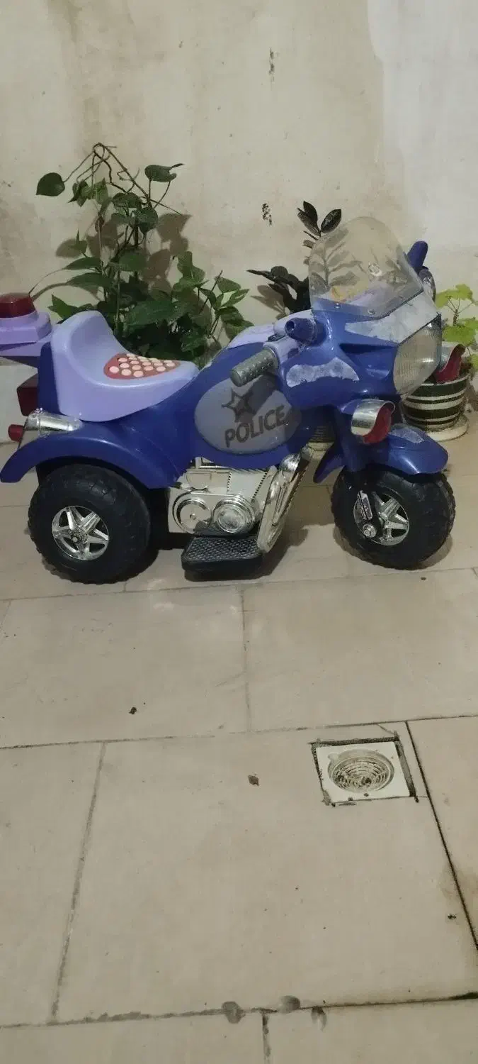 دوچرخه دخترانه و موتور سه چرخ شارژی|دوچرخه، اسکیت، اسکوتر|فردیس, نگارستان|دیوار