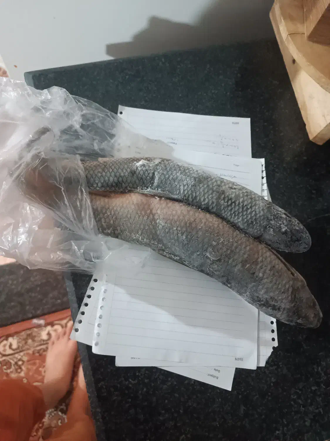 ماهی|ماهی|مرند, |دیوار