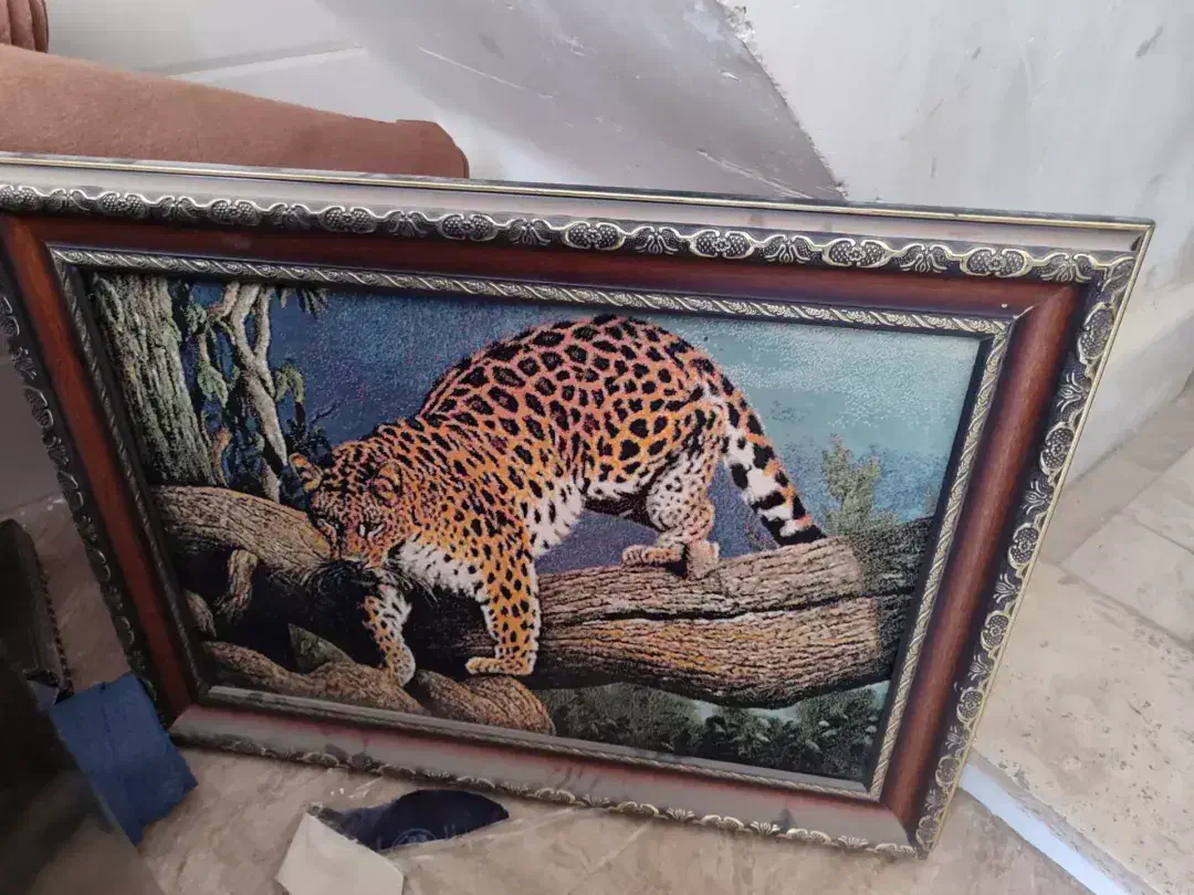 تابلو یوز پلنگ|تابلو، نقاشی، عکس|قم, شهر قائم|دیوار