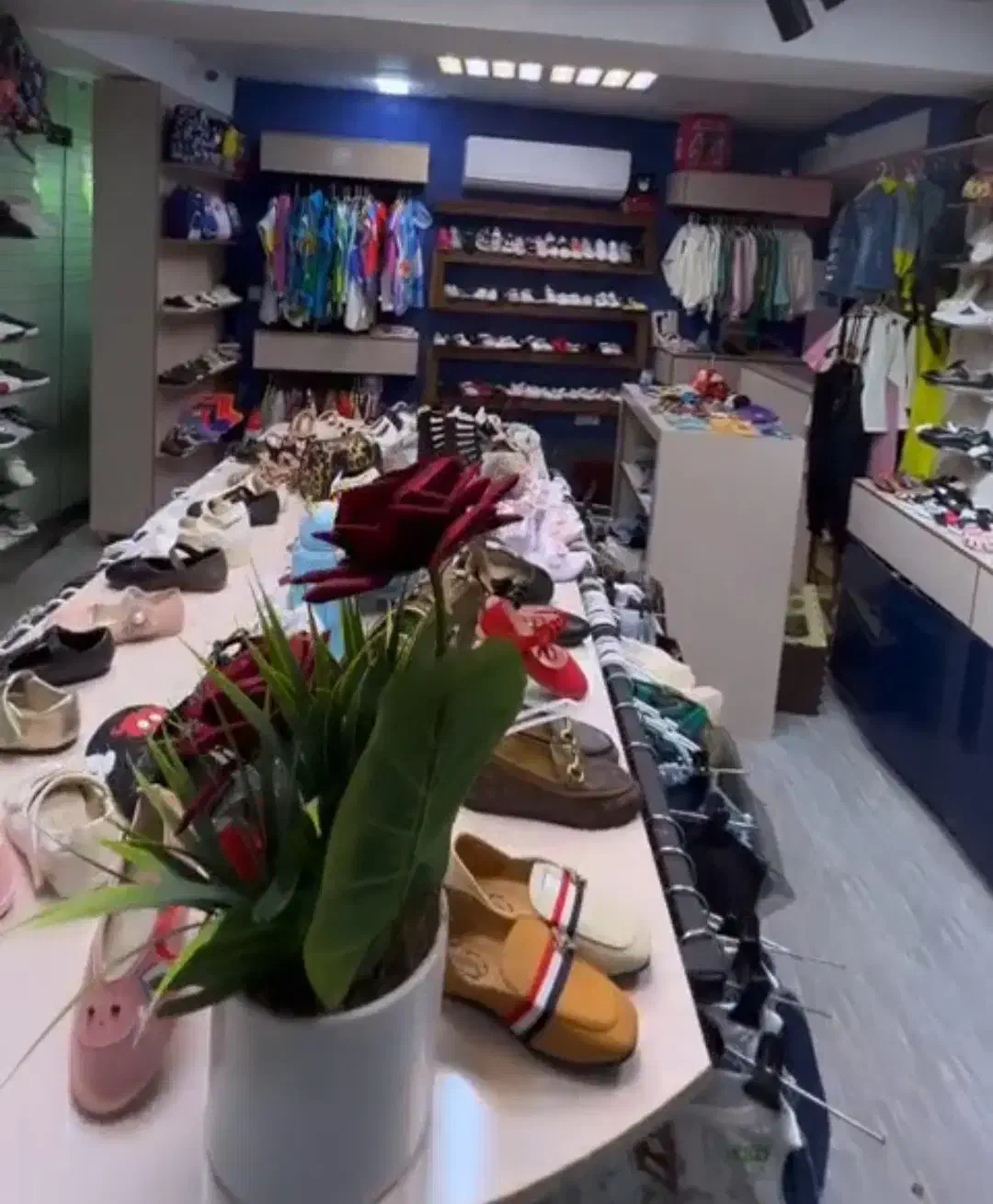 دکور و تجهیزات مزون و فروشگاه|فروشگاه و مغازه|رشت, پستک|دیوار