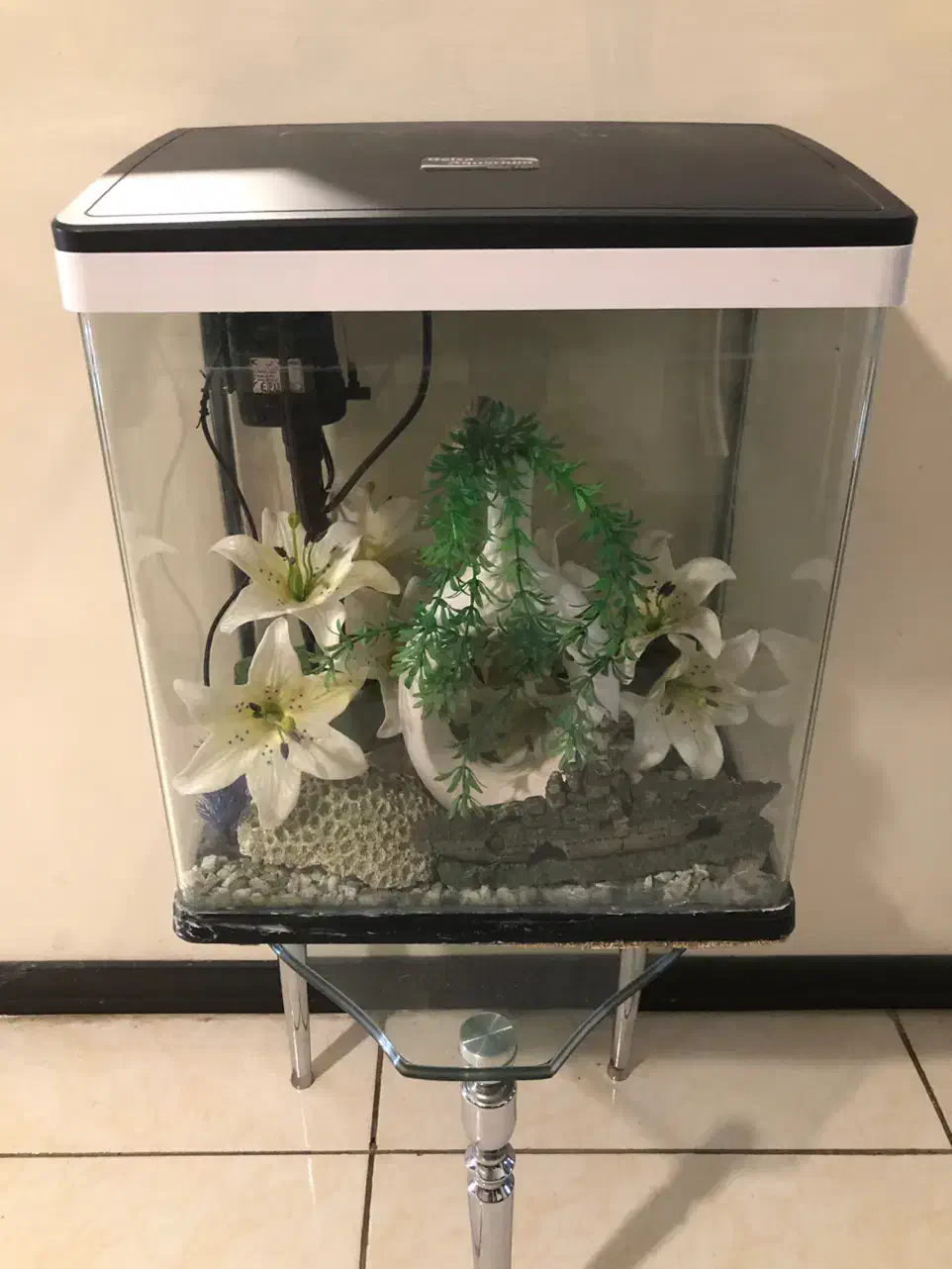 اکواریوم با وسایل و پمپ اب|ماهی|شیراز, شهرک استقلال|دیوار