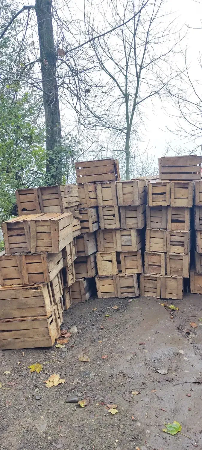 جعبه چوبی درجه یک|مصالح و تجهیزات ساختمان|کلاچای, |دیوار