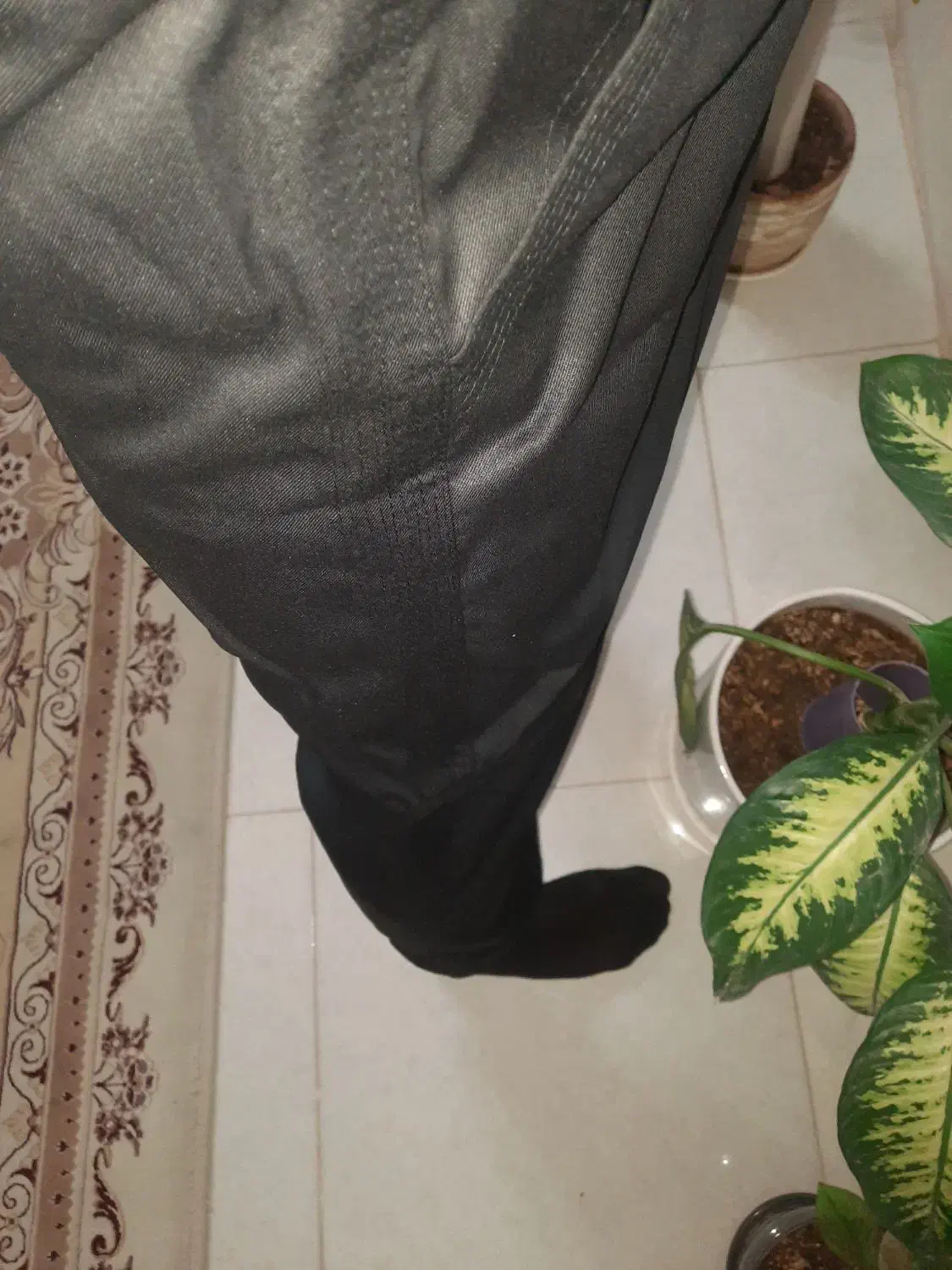 شلوار مشاور(مشهدی)|لباس|کاشان, فین بزرگ|دیوار