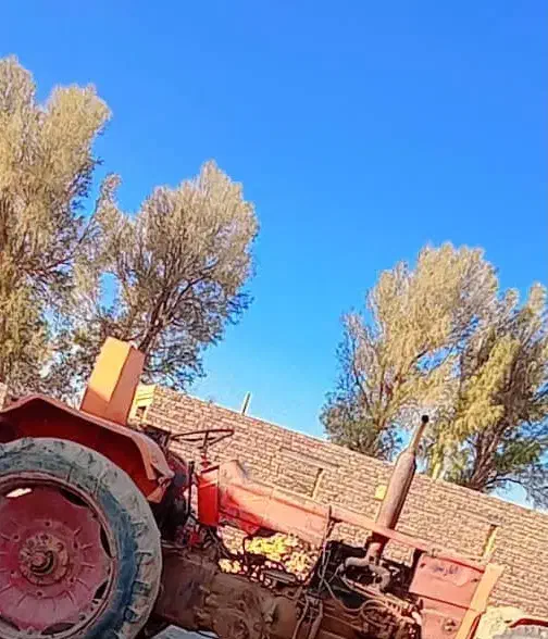 تراکتور رومانی مدل ۶۹|خودرو سنگین|مشهد, انصار|دیوار