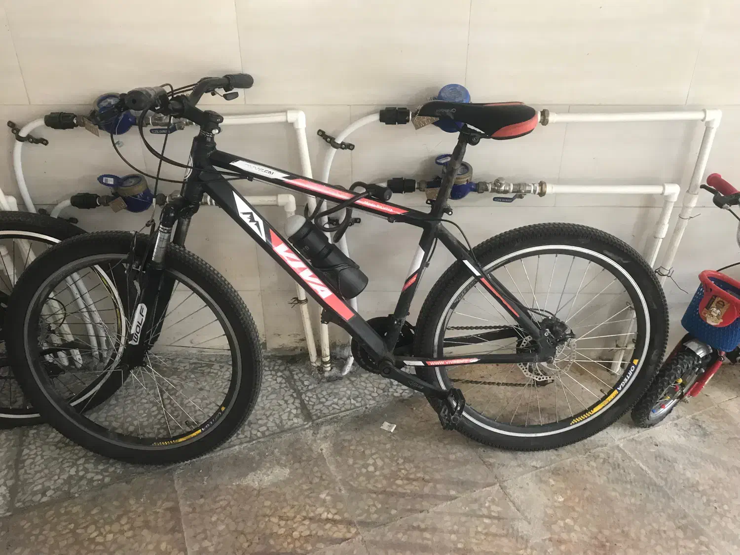 دوچرخه طرح ویوا|دوچرخه، اسکیت، اسکوتر|لاهیجان, شقایق|دیوار