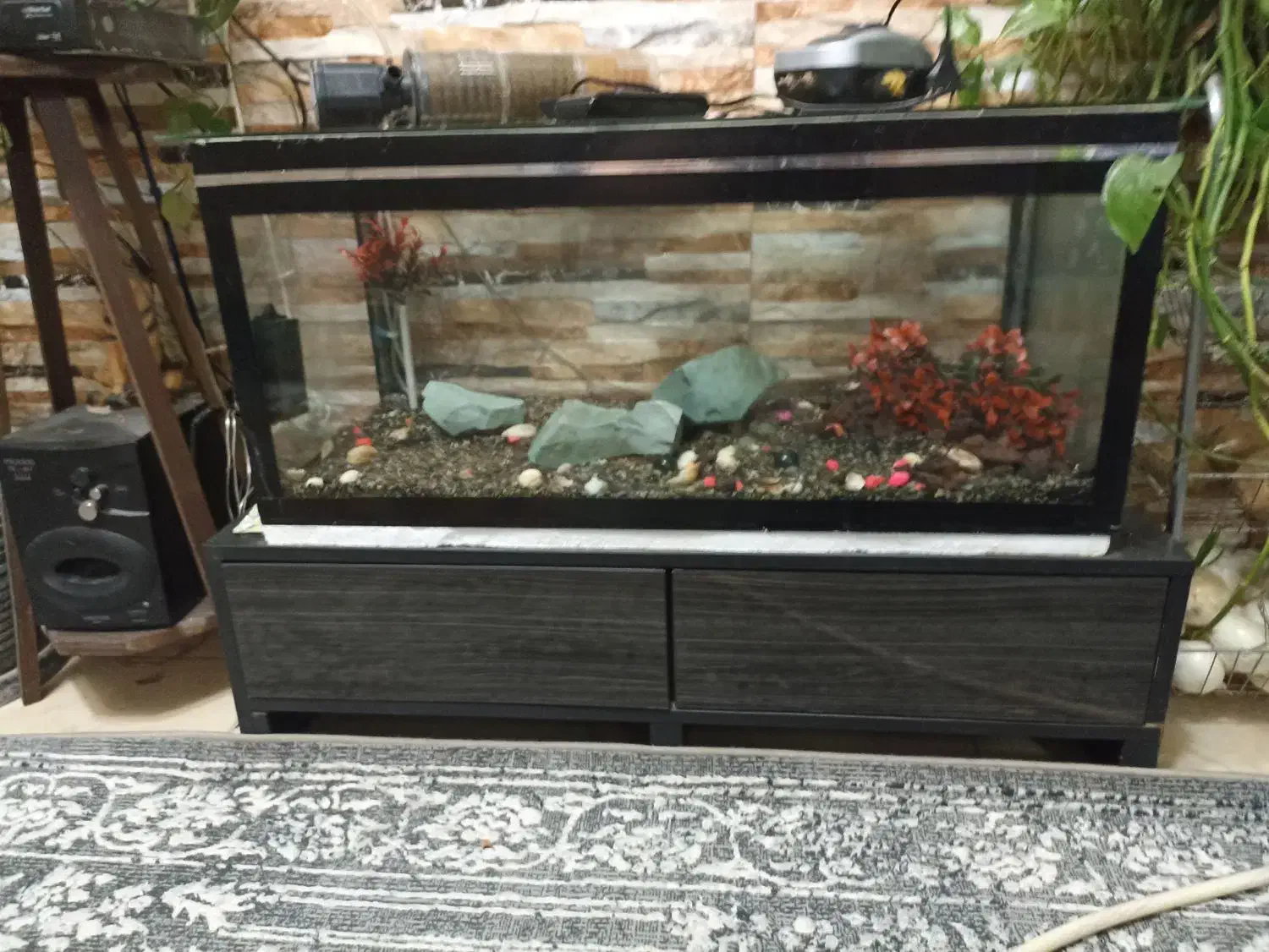 آکواریوم|لوازم جانبی حیوانات|پاکدشت, پاکدشت (مامازند)|دیوار