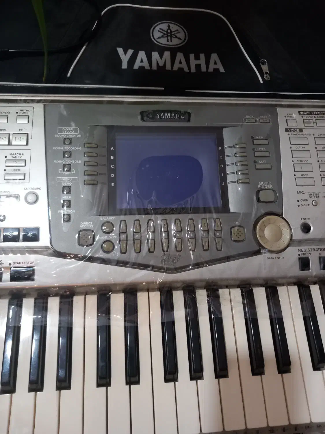 ارگ|پیانو، کیبورد، آکاردئون|کرمانشاه, |دیوار