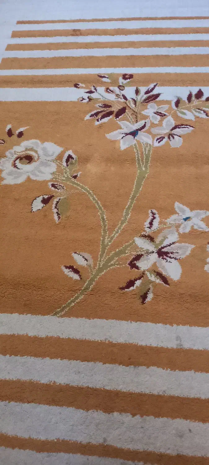 گلیم فرش|فرش|بندرعباس, |دیوار