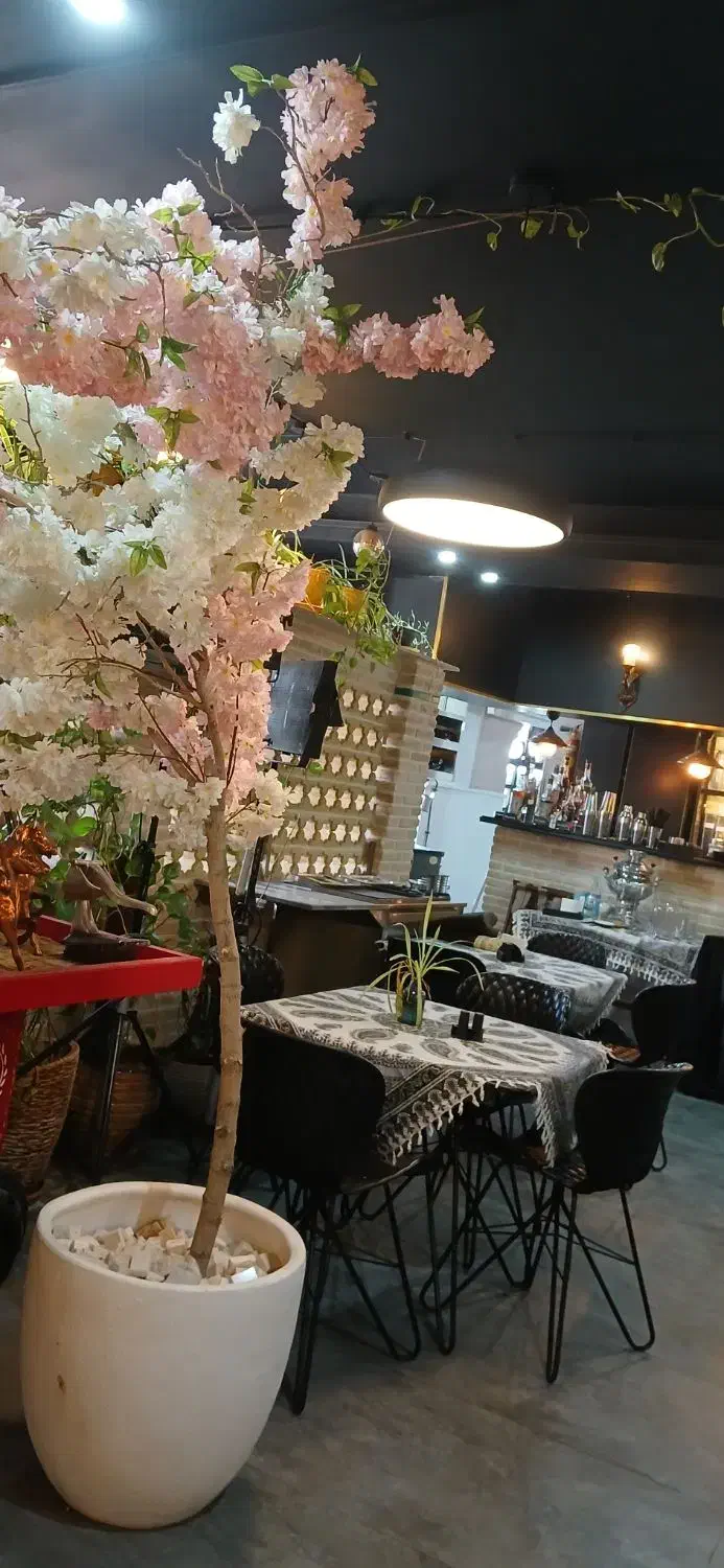 اشپز ،سالن کار، کمک آشپز|استخدام سرایداری و نظافت|تهران, امام زاده قاسم (نیاوران)|دیوار