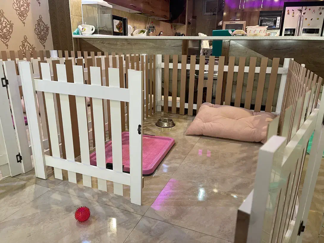 پارک سگ|لوازم جانبی حیوانات|کرج, باغستان|دیوار