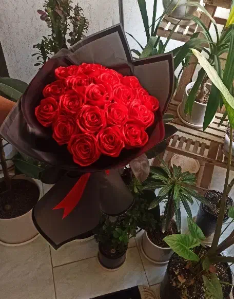 رز ربانی|گل مصنوعی|بجنورد, |دیوار