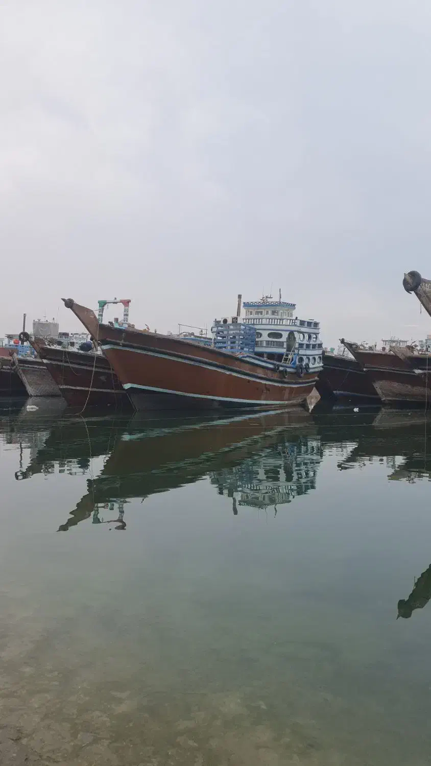 لنج دبی درحال بارگیری|خدمات حمل و نقل|بندر گناوه, |دیوار