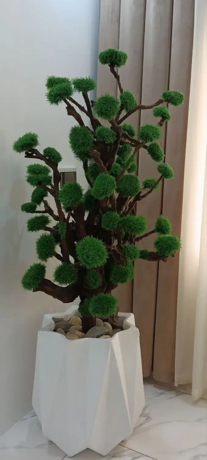 درخچه جاودان بسیار زیبا|گل مصنوعی|همدان, |دیوار