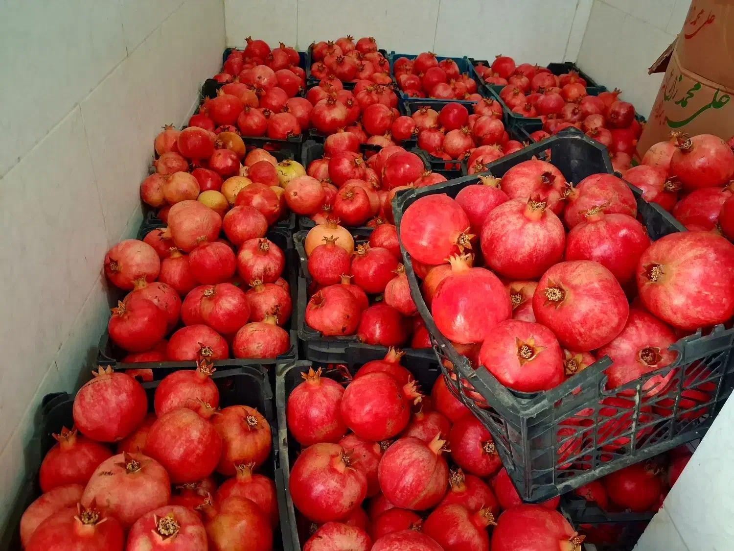 از تولید به مصرف|خوردنی و آشامیدنی|کوهنجان, |دیوار