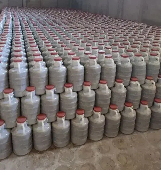 خیار شور|خوردنی و آشامیدنی|رشت, گلسار|دیوار