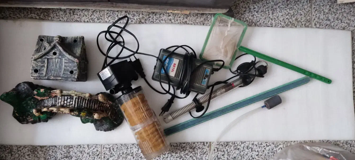 آکواریوم|ماهی|میاندوآب, |دیوار