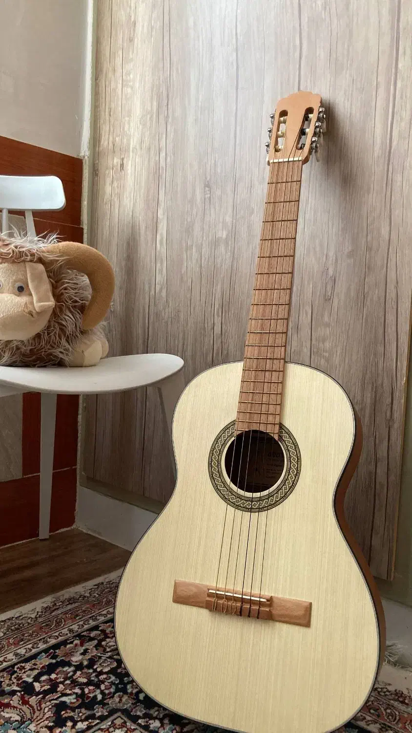 گیتار کلاسیک|گیتار، بیس، امپلیفایر|تهران, پونک|دیوار