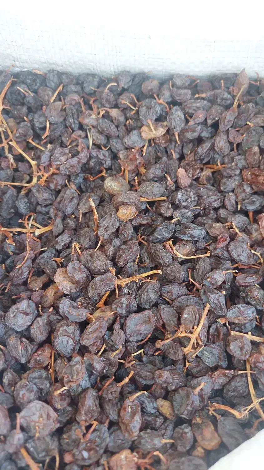 کشمش بیدانه عسکری و مویز دشمن زیاری|خوردنی و آشامیدنی|شیراز, طلاب|دیوار