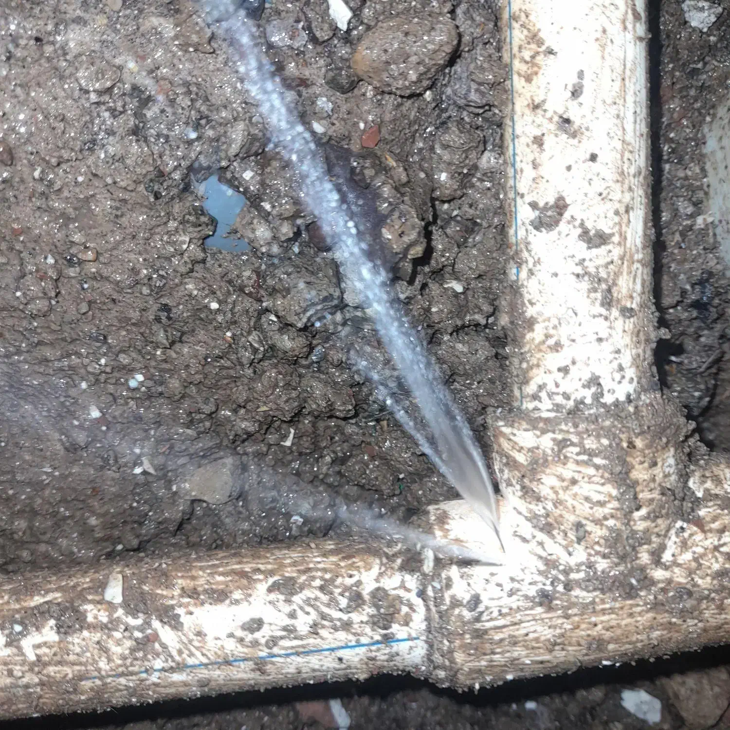 لوله کشی تعمیرات نشتی یابی اب و فاضلاب معالی اباد|خدمات پیشه و مهارت|شیراز, معالیآباد|دیوار