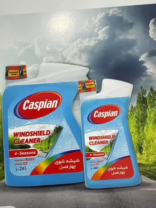 فروشنده حضوری شرکت پخش کاسپین|استخدام بازاریابی و فروش|بندرعباس, |دیوار