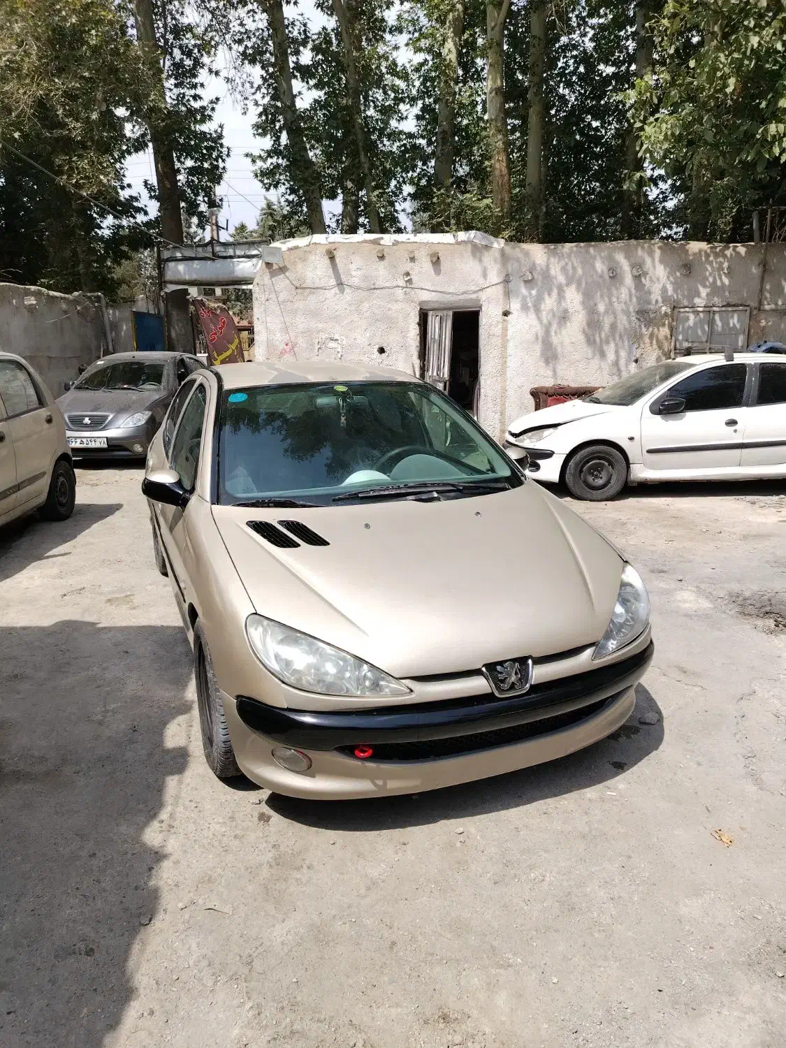 خدمات نقاشی و پولیش و سرامیک خودرو|خدمات موتور و ماشین|فردیس, طالقانی|دیوار