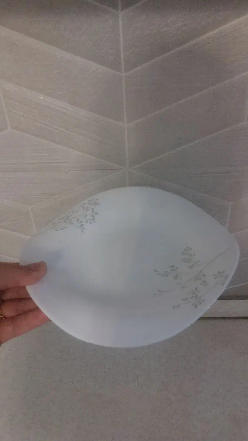 آرکوپال ۱۸ نفره خارجی|ظروف سرو و پذیرایی|رشت, کوی حسینی|دیوار