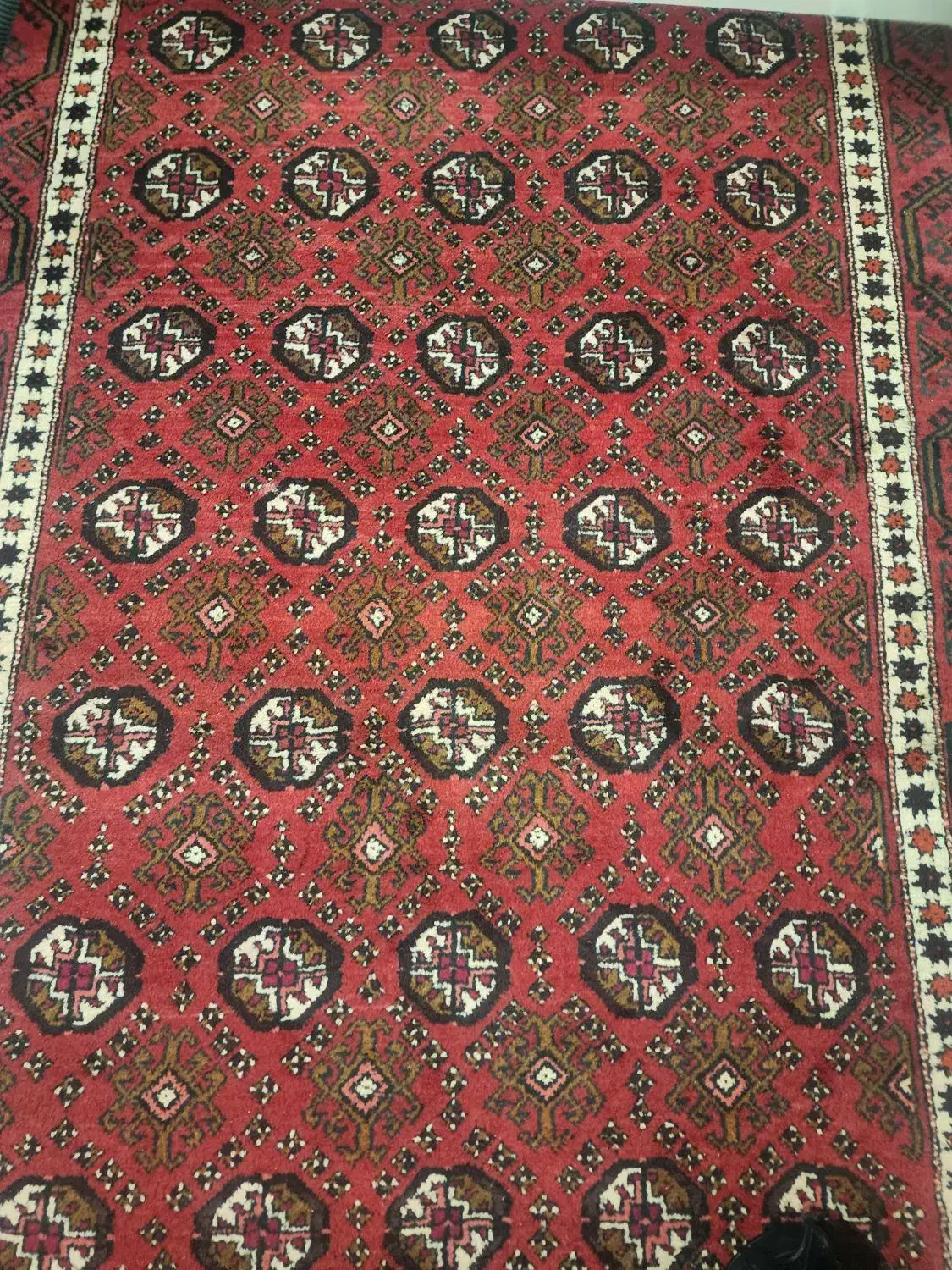 فرش دستباف|فرش|زاهدان, |دیوار