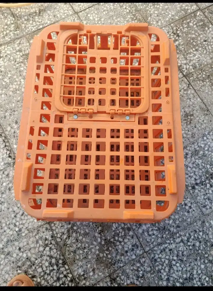 سبد مرغ زنده|لوازم جانبی حیوانات|مریوان, |دیوار