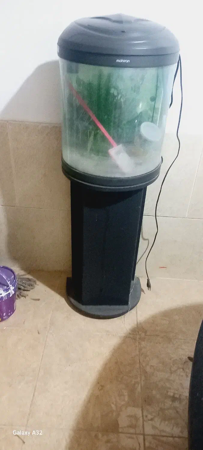 آکواریوم ماهیران شیشه خم با پایه|ماهی|ارومیه, |دیوار