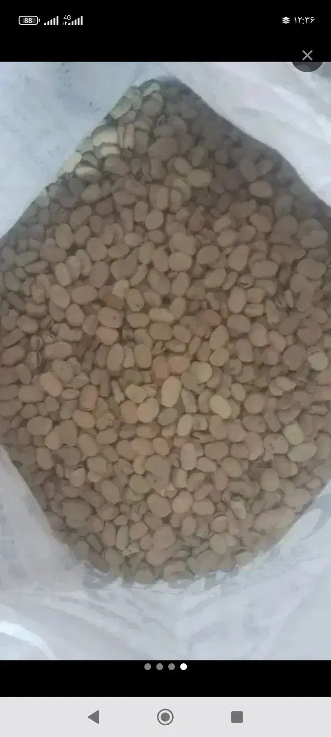 3تن موجود|خوردنی و آشامیدنی|مهربان, |دیوار