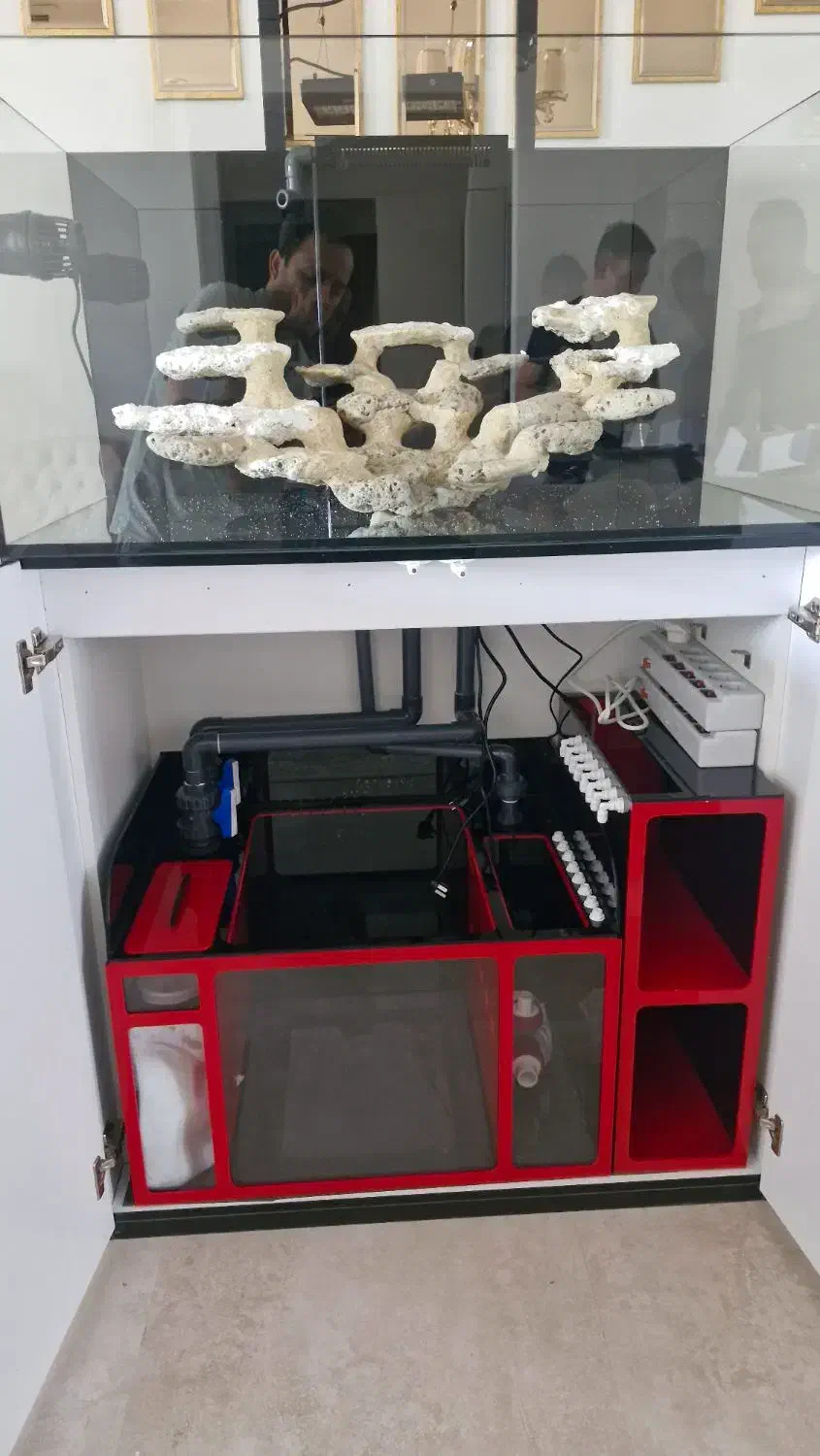 ساخت و نصب آکواریوم های حرفه ای|ماهی|کرج, مهرویلا جنوبی|دیوار