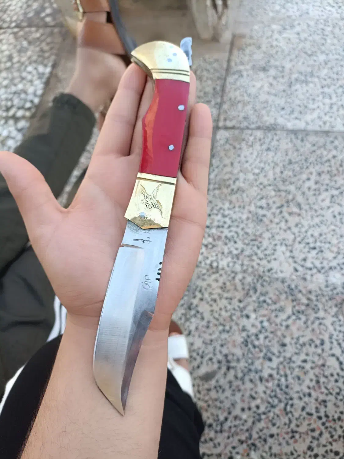 چاقو دنده ای|کوهنوردی و کمپینگ|اهواز, اسماعیلیه|دیوار