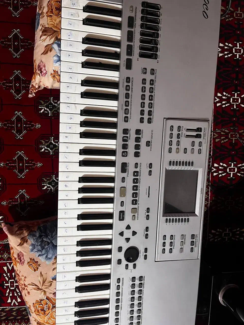 ارگ جنسیس|پیانو، کیبورد، آکاردئون|بجنورد, |دیوار