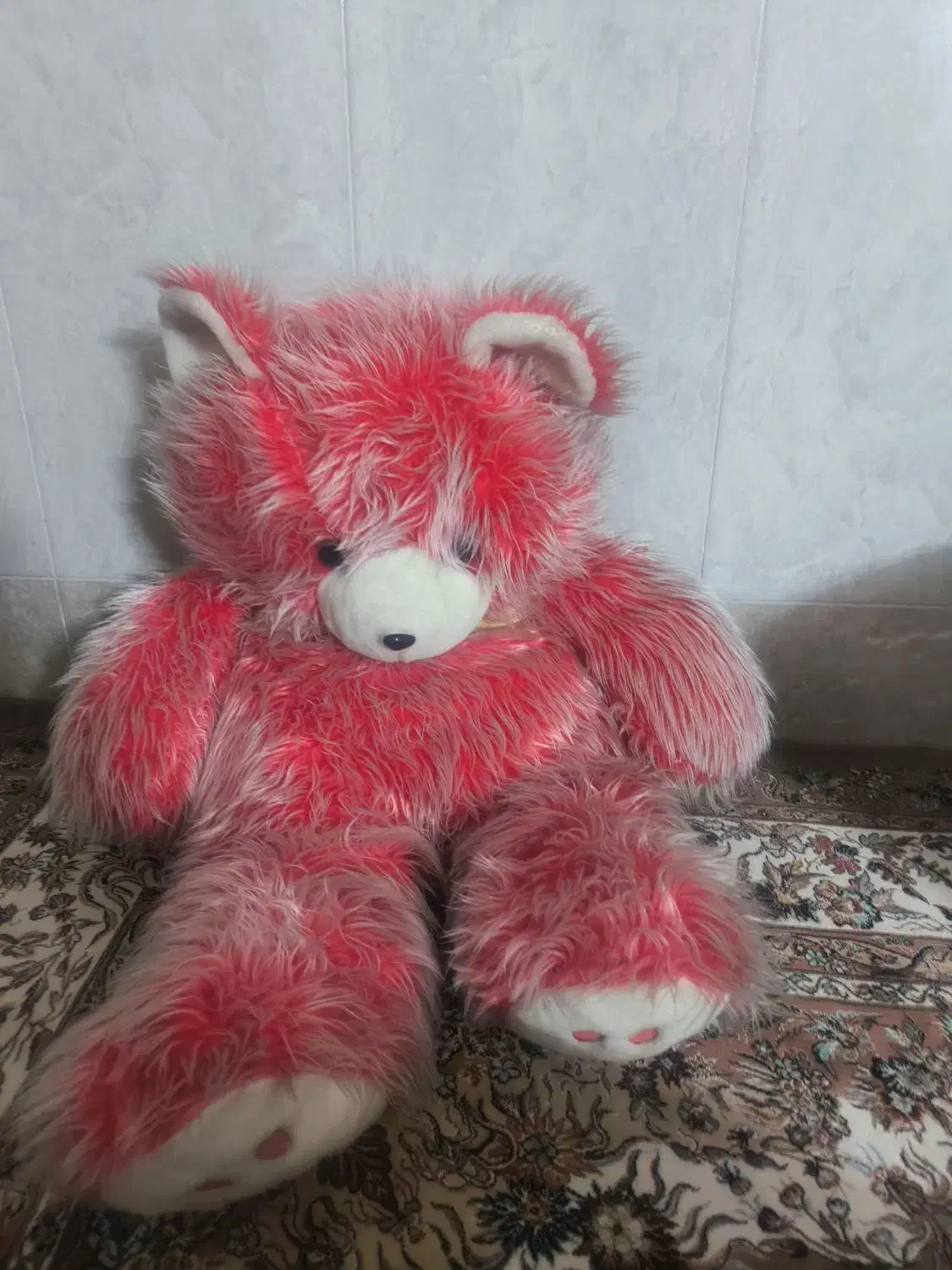 عروسک|اسباب‌بازی بچه|قم, امامزاده ابراهیم|دیوار