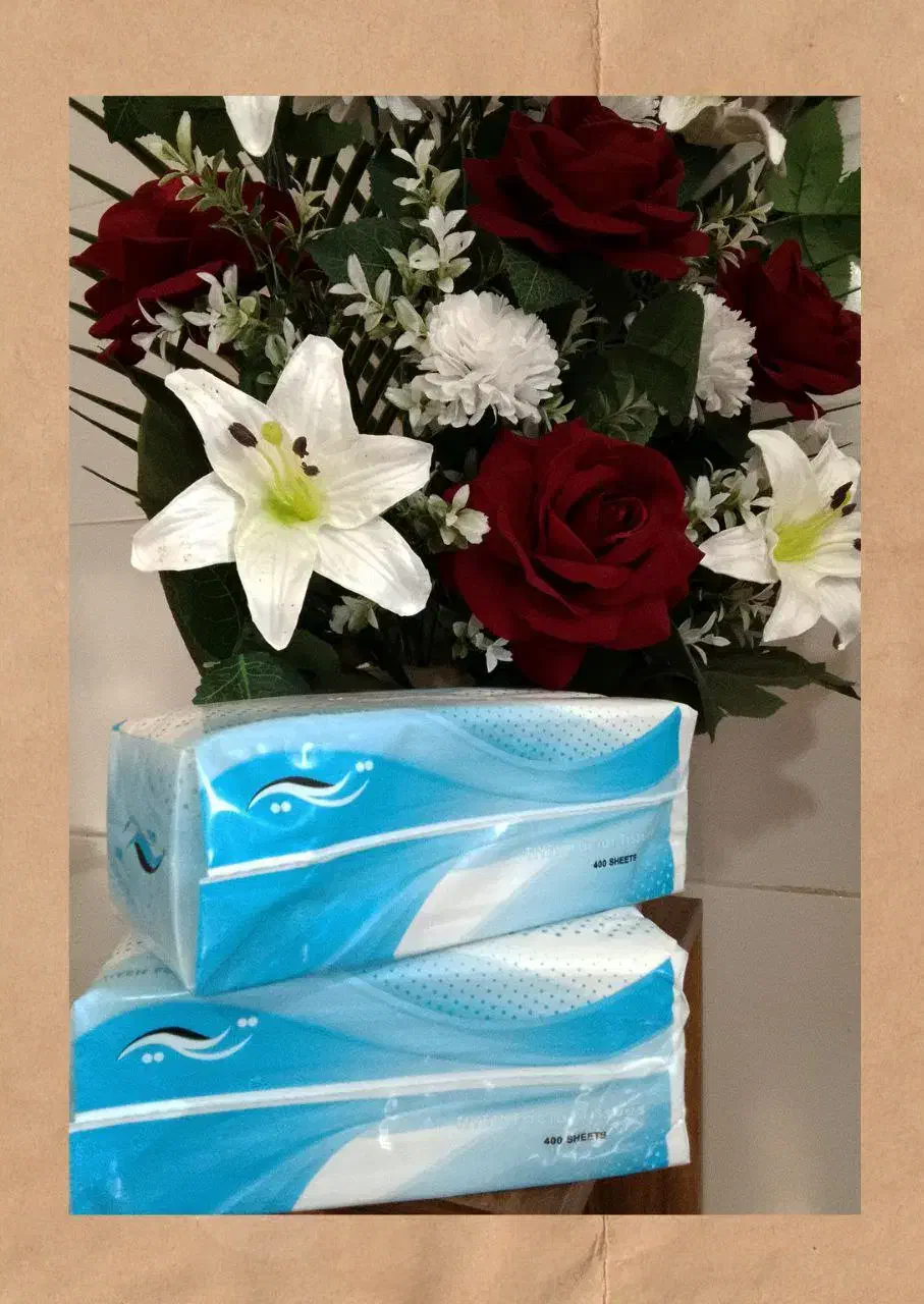 دستمال کاغذی و کیسه های یکبار مصرف چای و جاروبرقی|مواد شوینده و دستمال کاغذی|تبریز, |دیوار