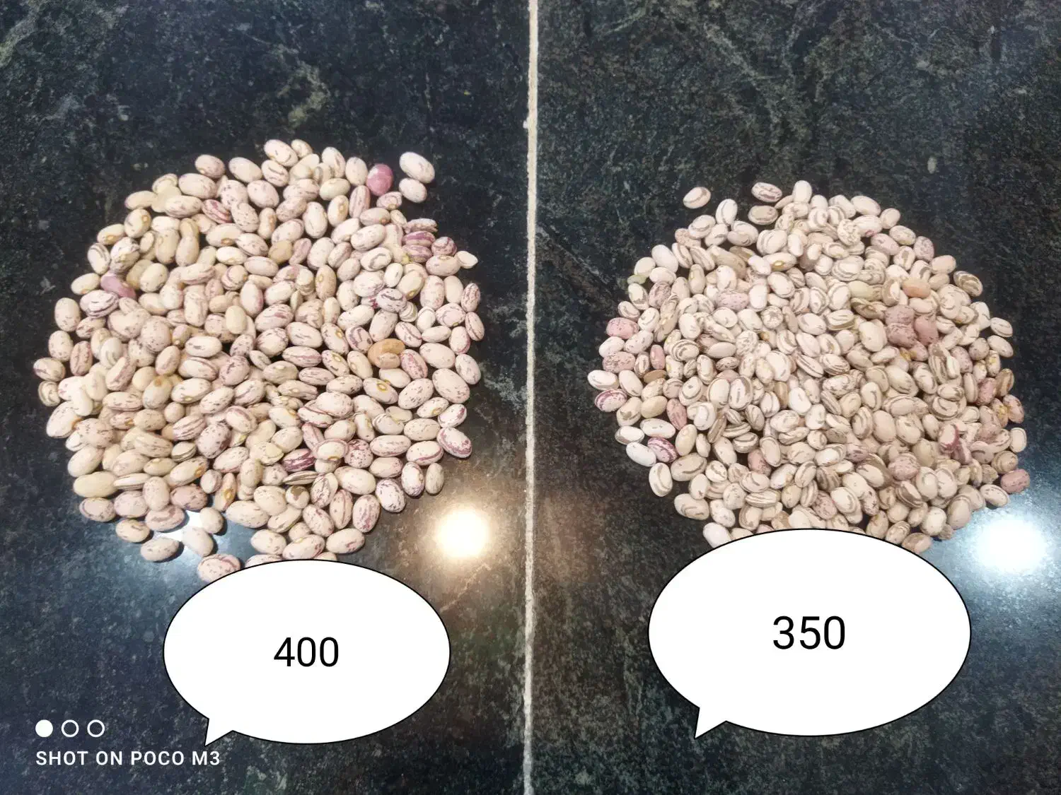 لوبیا چتی|عمده‌فروشی|گیان, |دیوار